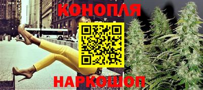 ECSTASY Обь