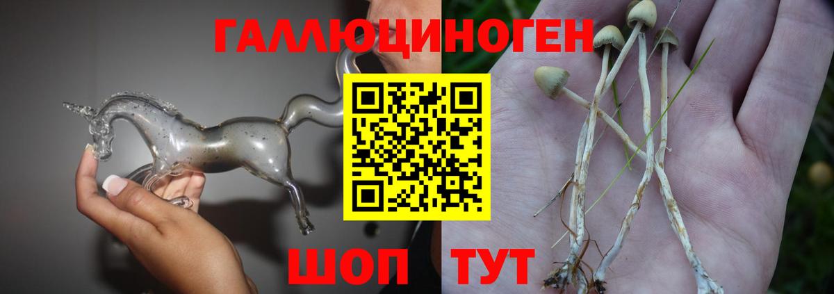 Псилоцибиновые грибы прущие грибы Нерюнгри